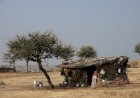 „Katsina“: motociklų banditai terorizuoja šiaurinę Nigeriją