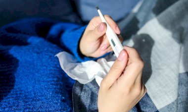 Švedija prognozuoja dar 3000 „Covid-19“ mirčių