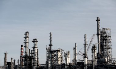 Lietuva suteikė prieglobstį Rusijoje įtariamam naftos tarša Romui Ruzhecko