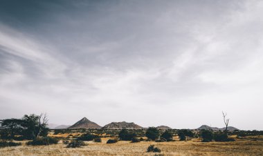 Darfūre kovotojai nužudė mažiausiai 20 ūkininkų, įskaitant vaikus