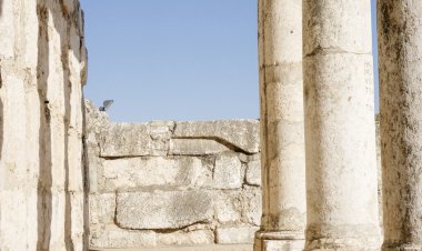 Izraelis užkirto kelią teroristų įsiskverbimui