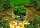 Keisis priemonių klimato kaitai valdyti planavimas ir administravimas