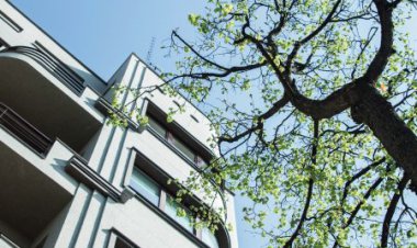 V. Kuprevičiaus stipendija – fotografei M. Gineikaitei už kūrybinį projektą apie tarpukario modernizmo ir medžio santykį