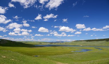 Žemės ūkio ekspertas: „Ūkininkauti sugeba tik patys stipriausi“