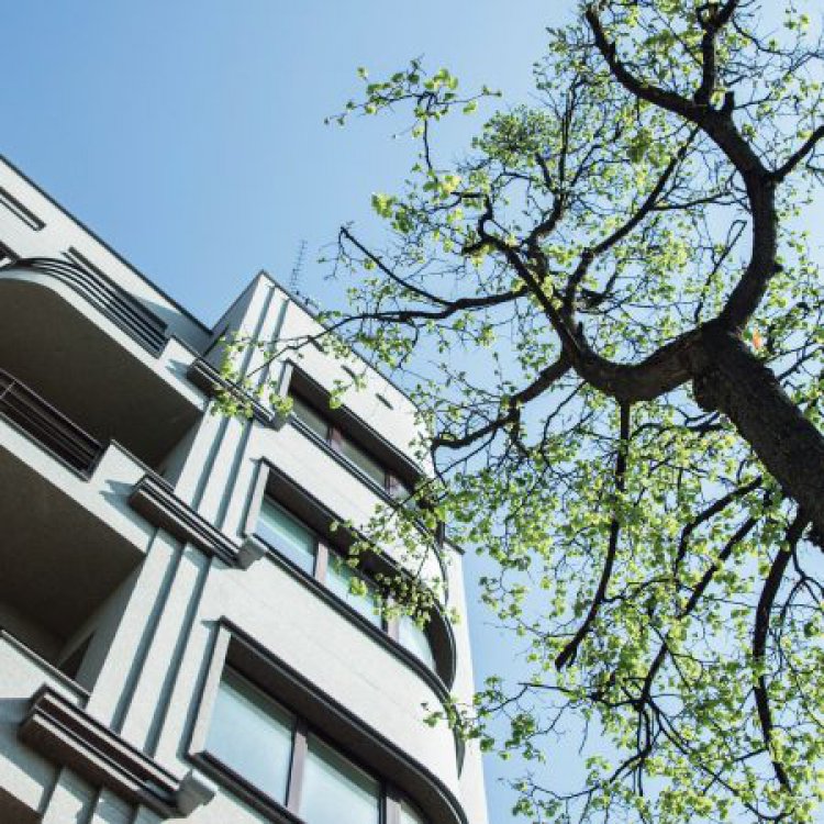 V. Kuprevičiaus stipendija – fotografei M. Gineikaitei už kūrybinį projektą apie tarpukario modernizmo ir medžio santykį